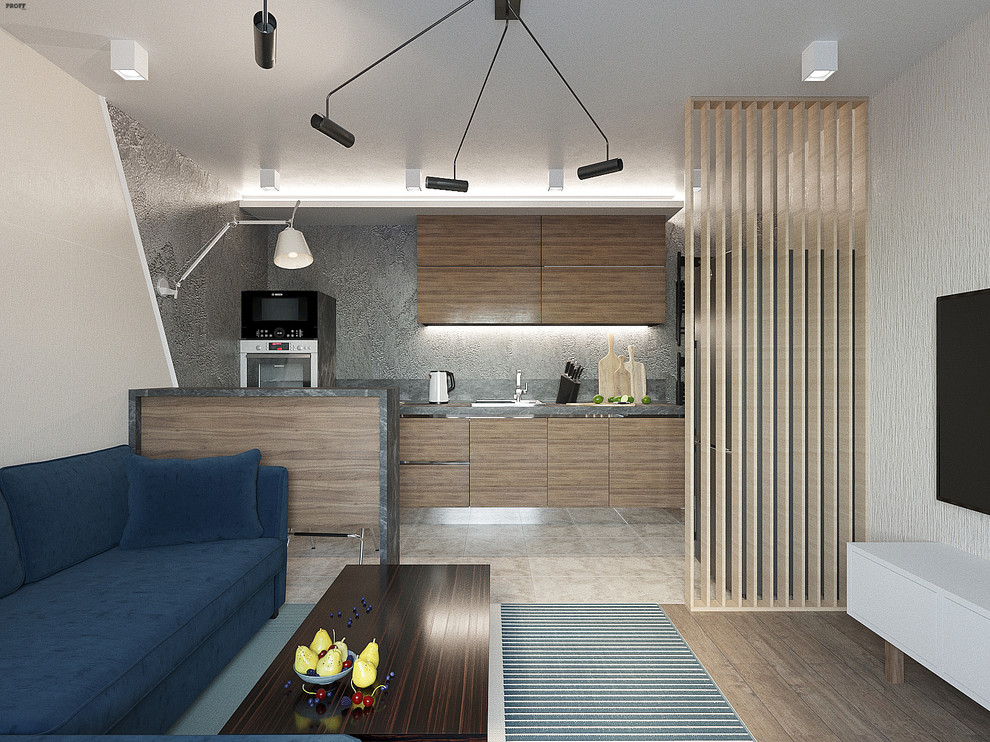 Обложка проекта: КВАРТИРА ДЛЯ МОЛОДОГО ЧЕЛОВЕКА