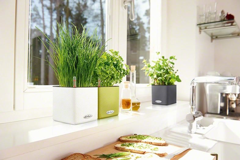 Интеллектуальный дизайн