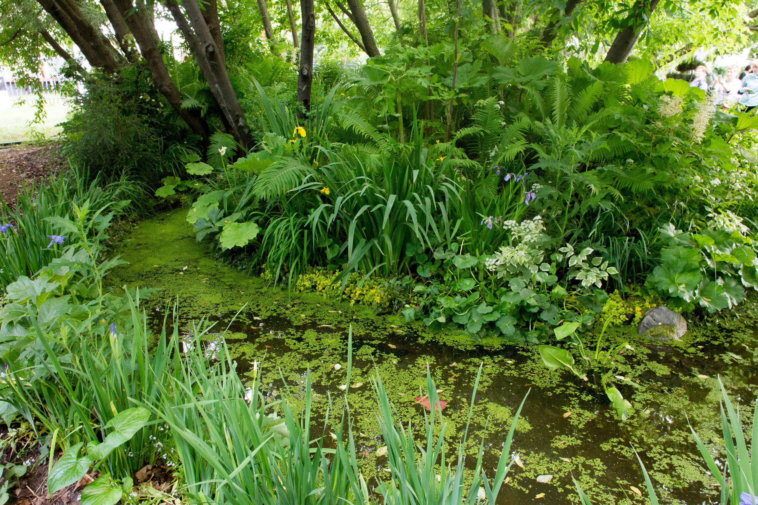 Проект недели: Сад в стиле модерн