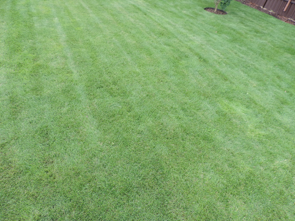 Наши работы