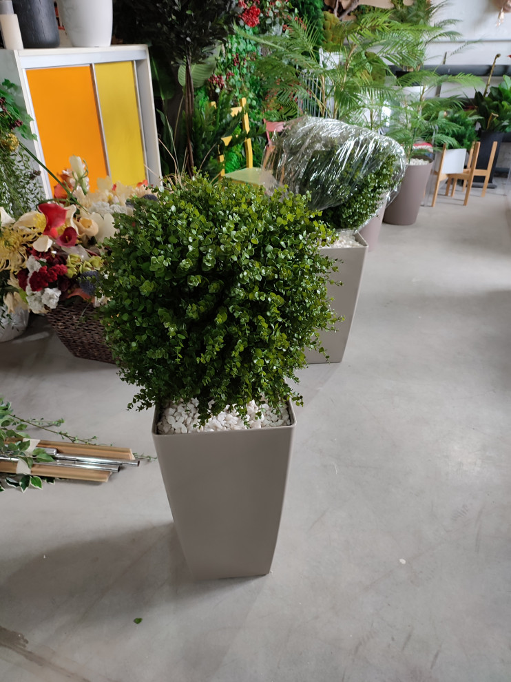 Растения для офисного пространства