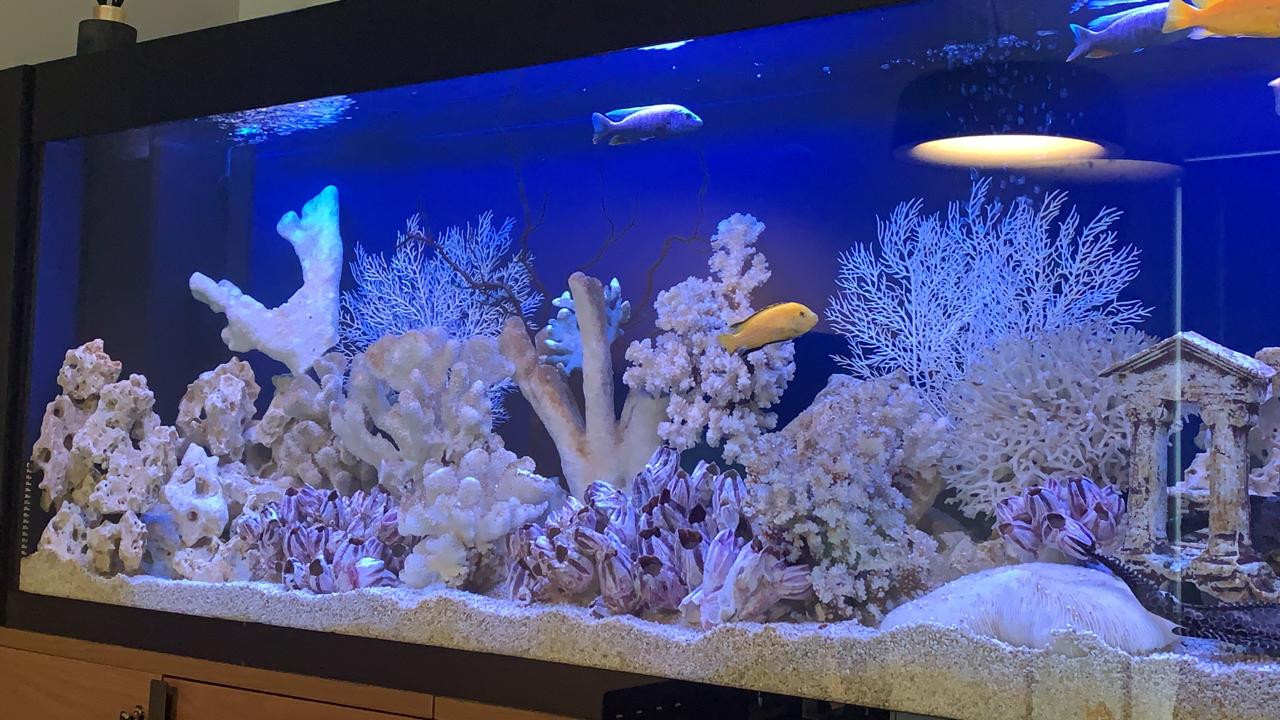 Аквариум в интерьере