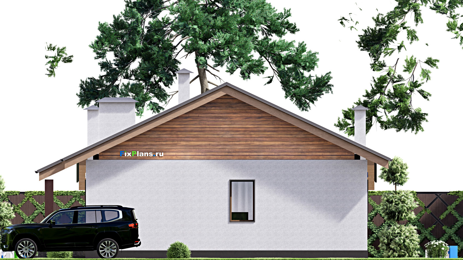 Проект одноэтажного дома 11х20м S163м2 F-17000