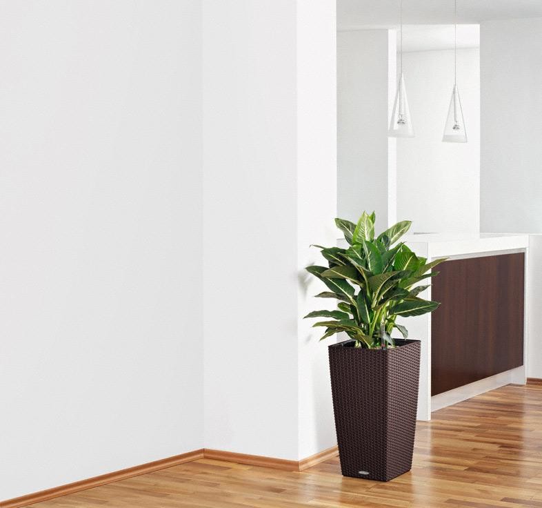 Стильный универсал