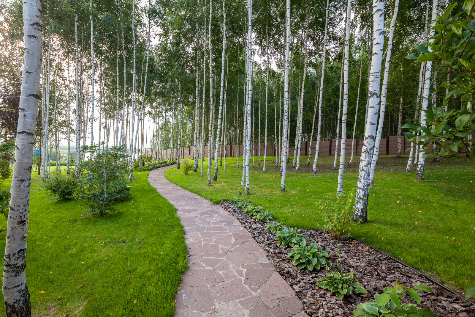 Как правильно: Привести в порядок запущенный участок