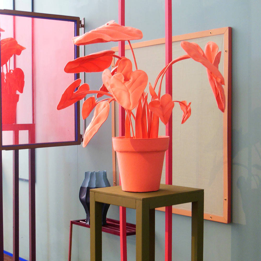 Микротренд: Цветы гиганты и мутанты