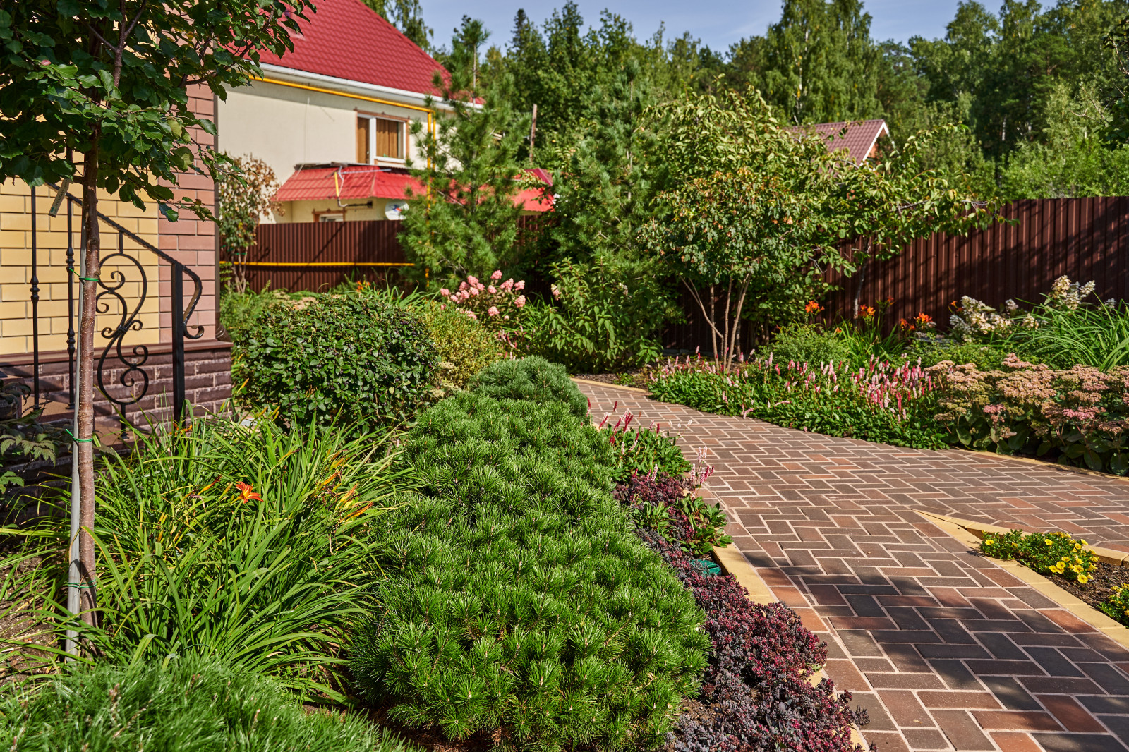 Сад в розовой дымке