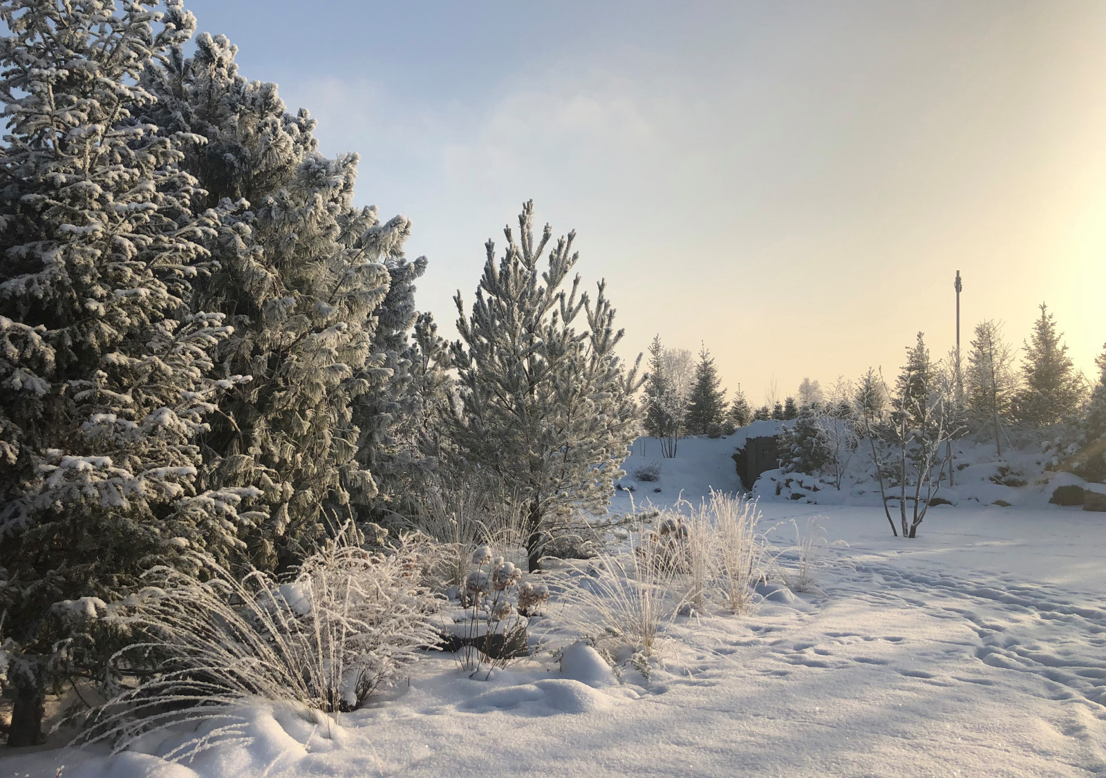 Обложка проекта: Сад Кроличья нора. Зима