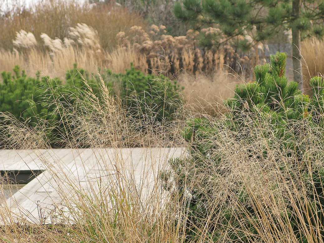 Houzz Белоруссия: Сад в тумане