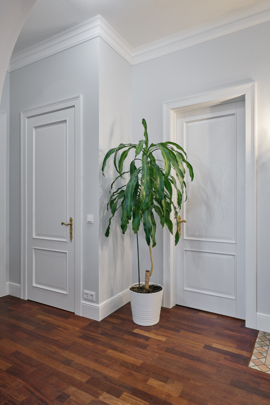 Классический интерьер с Орлеаном в отделке дуб