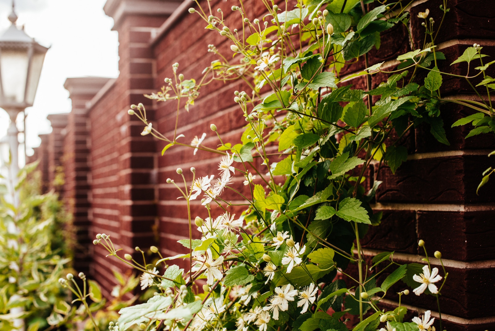 Татьяна Звездочкина