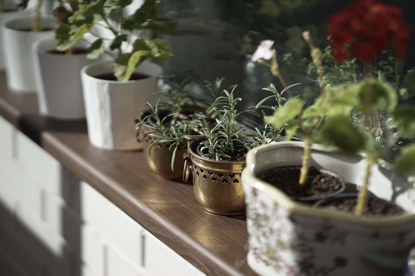 Квартира в деревенском стиле в ЖК "Рублевское предместье"