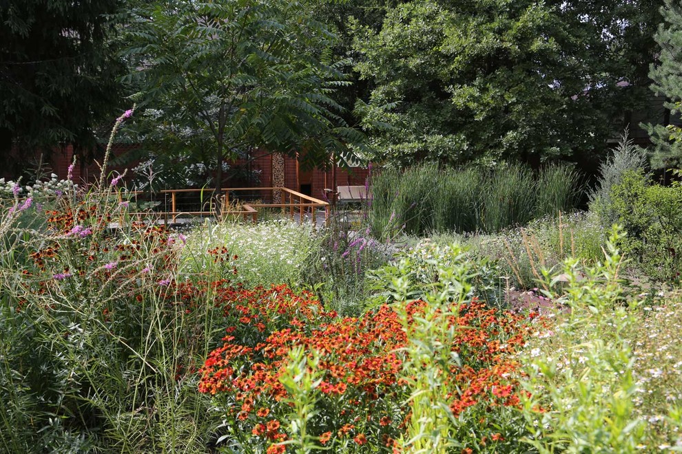 Проект недели: Абстрактная картина вместо запущенного сада