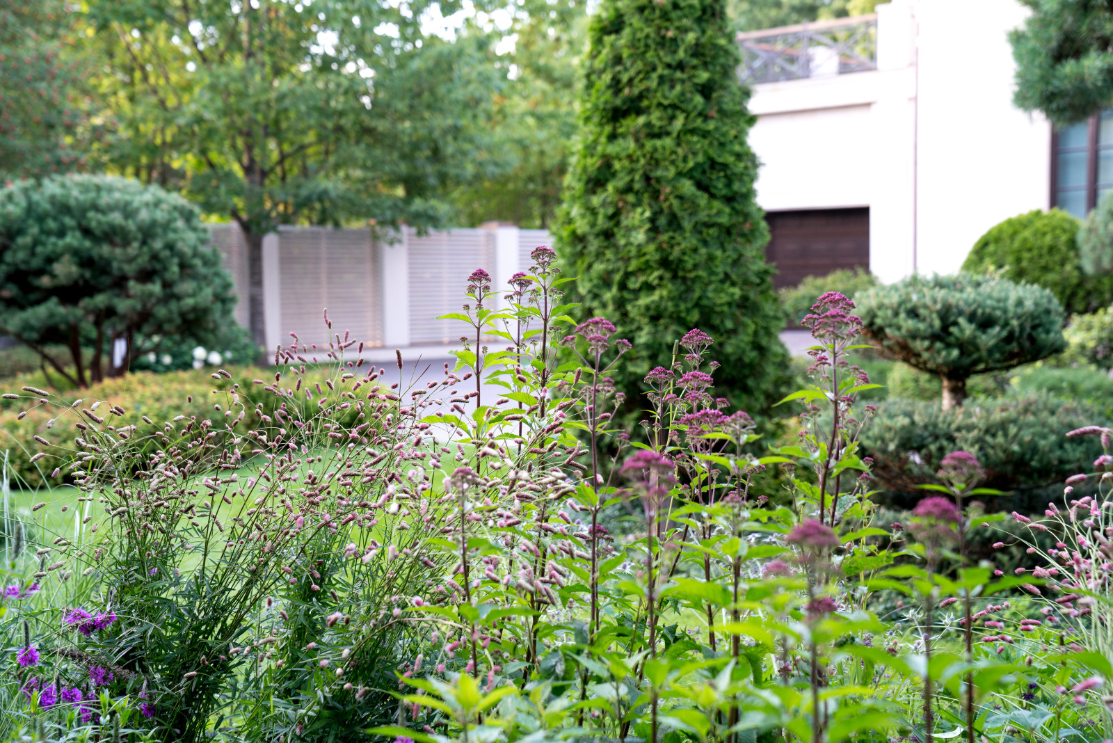 Очарование английского сада КП Балтия 2018 г