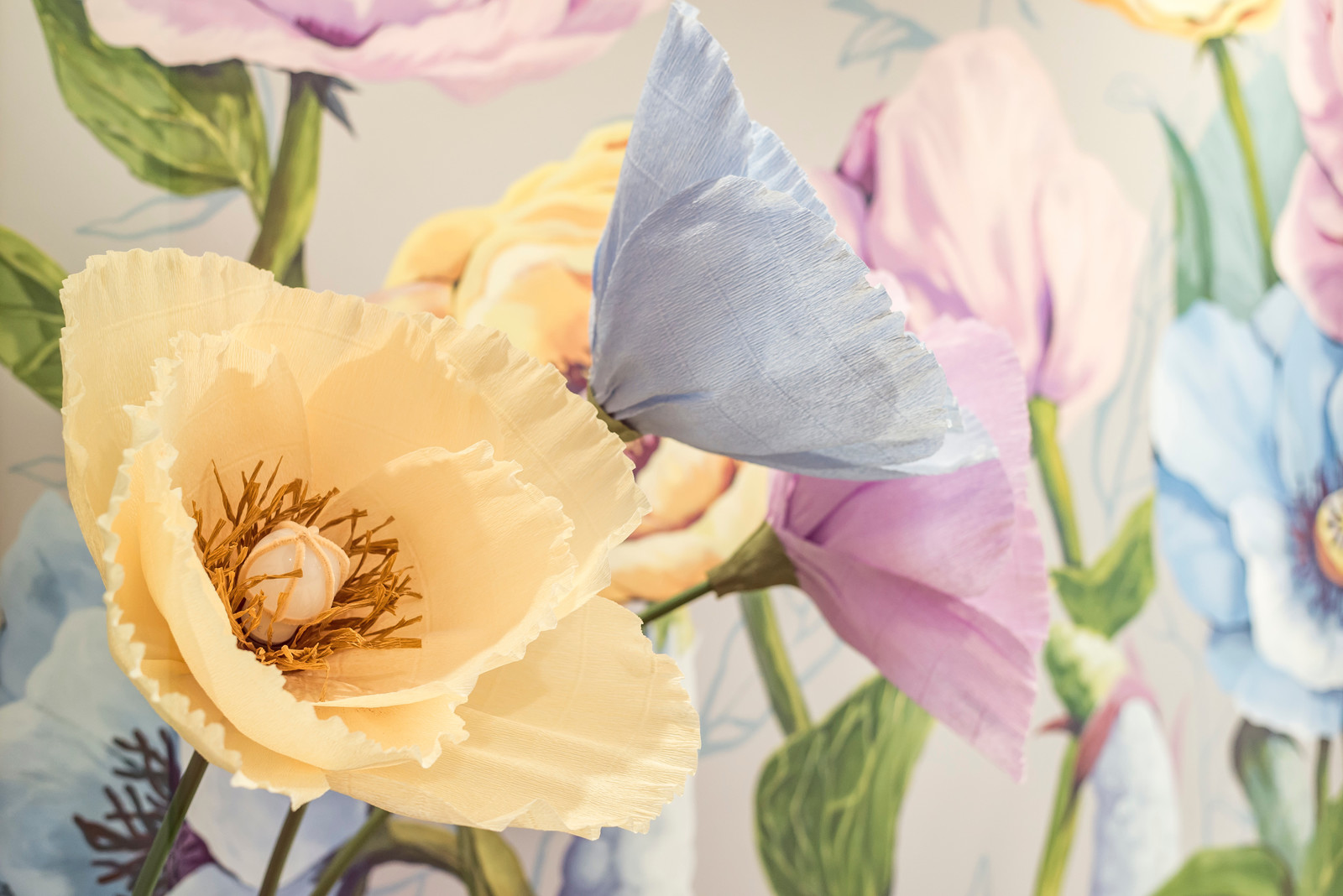 Школа ремонта на ТНТ" Цветы для кадетки"