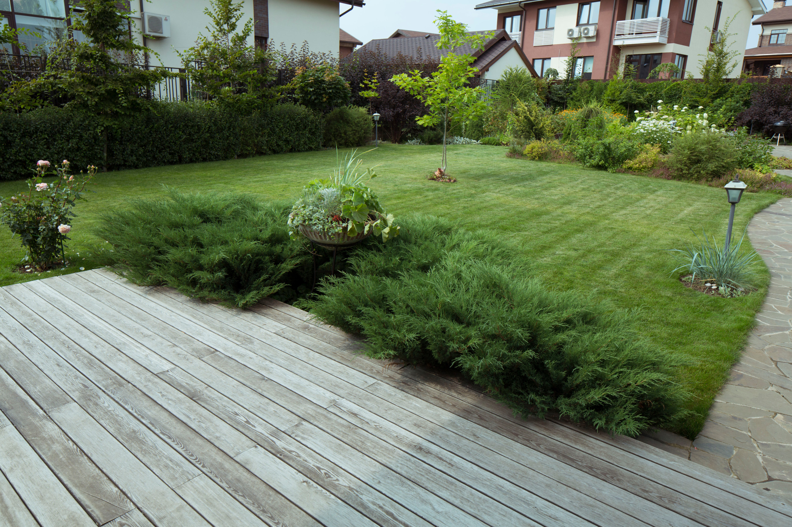 В гостях: Участок с фамильными дубами и баней в срубе