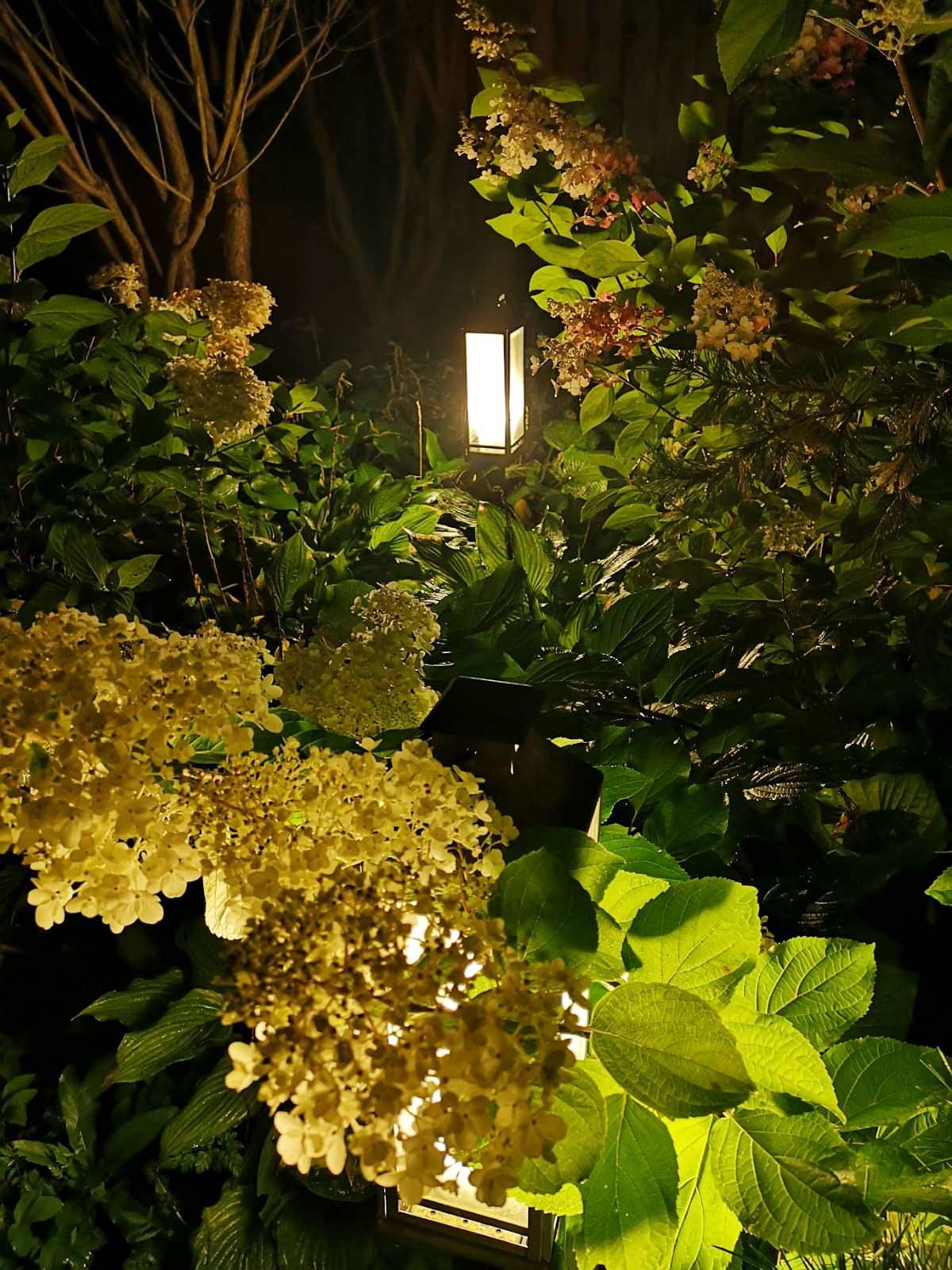 Ландшафтный дизайн участка с САДОМ ГОРТЕНЗИЙ