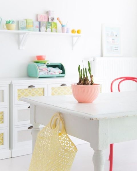 Растение месяца: Тюльпан на подоконнике к 8 Марта