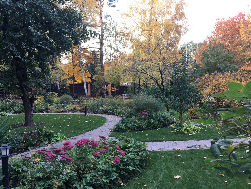 Белкин сад. Осень 2019