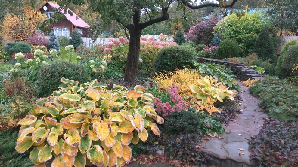 Обложка проекта: Красота осеннего сада