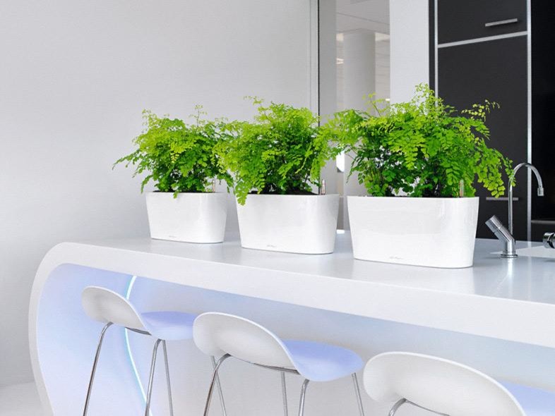 Шик на небольшой площади