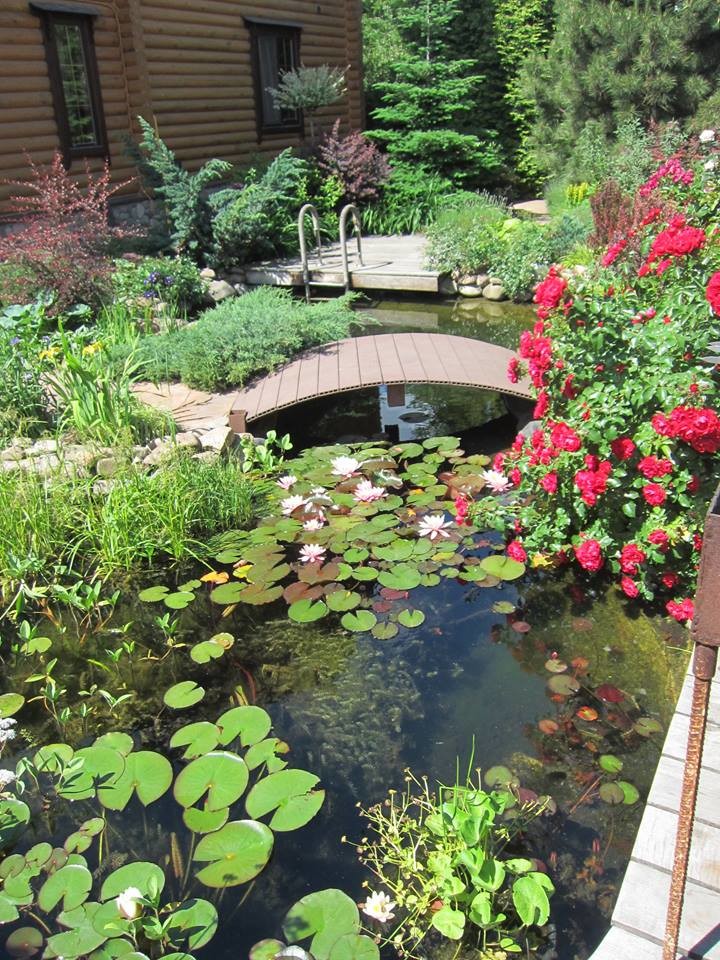 Ландшафт в пейзажном стиле с плавательным прудом 12 соток