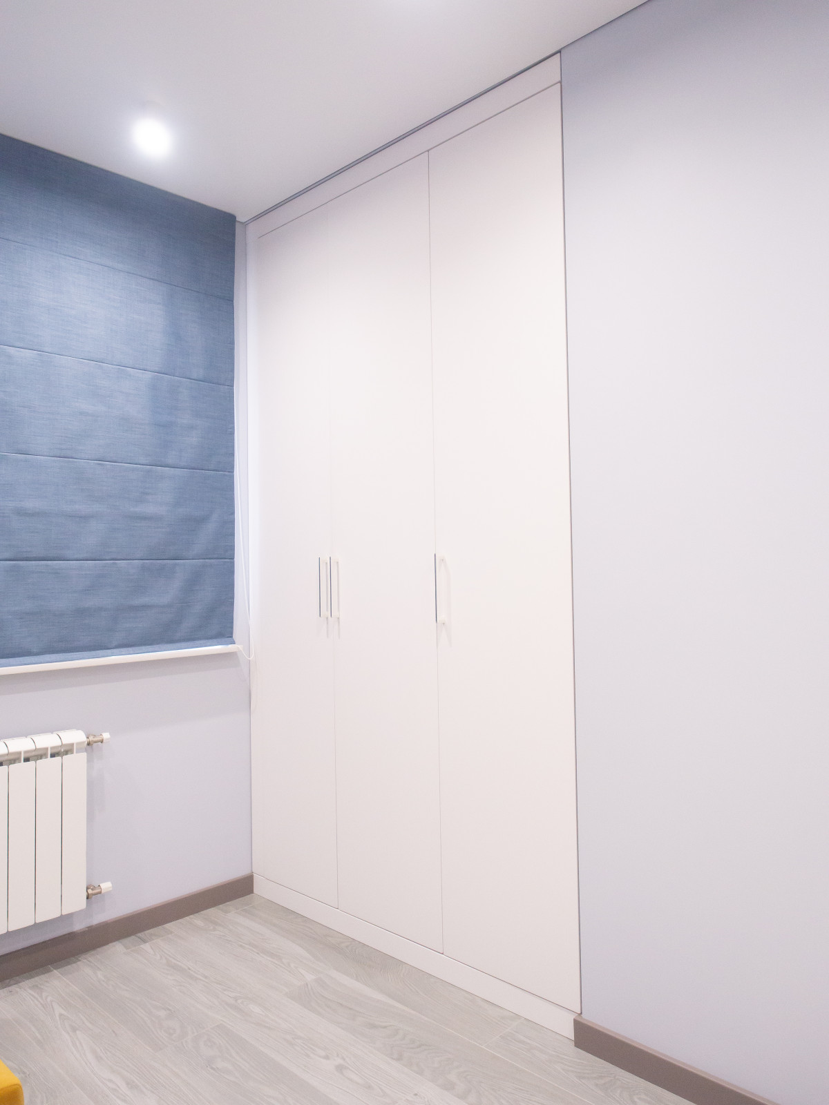 Долгопрудный