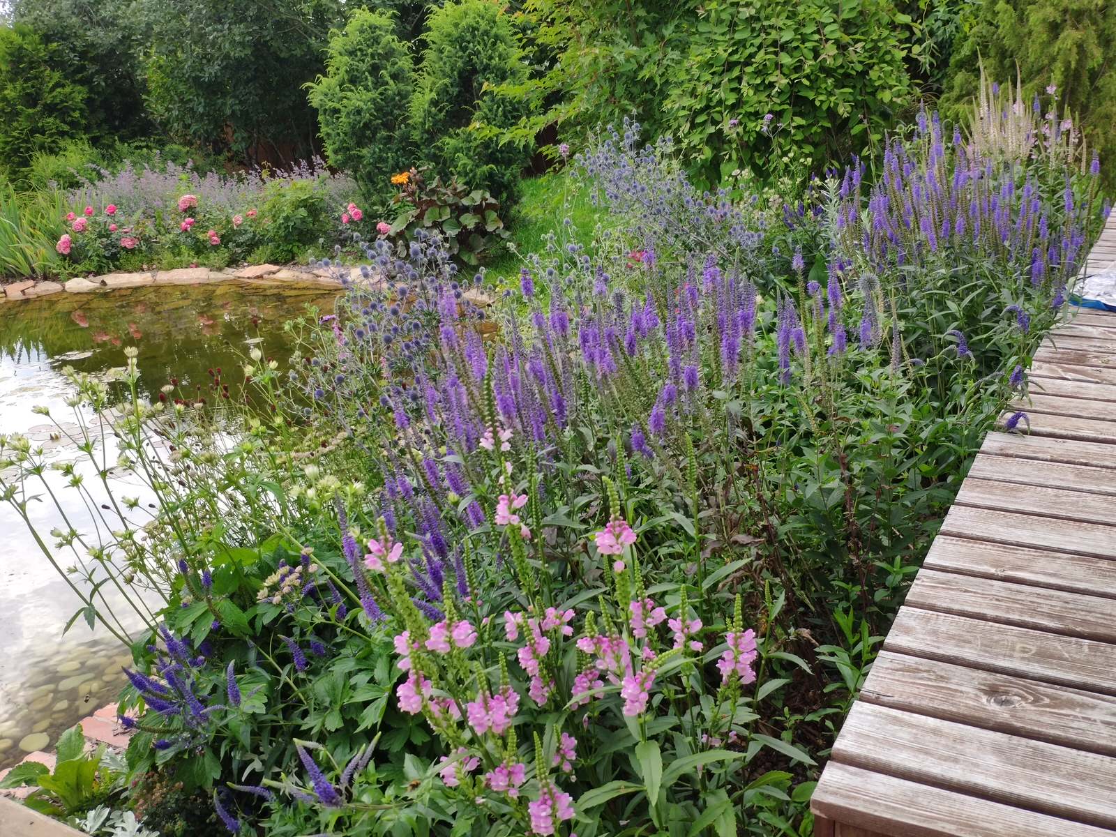 "Экспериментальный" сад любителя растений