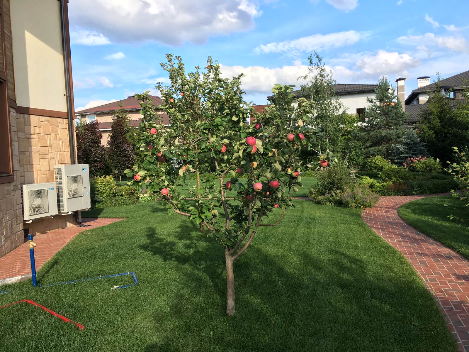 Миллениум Парк 2