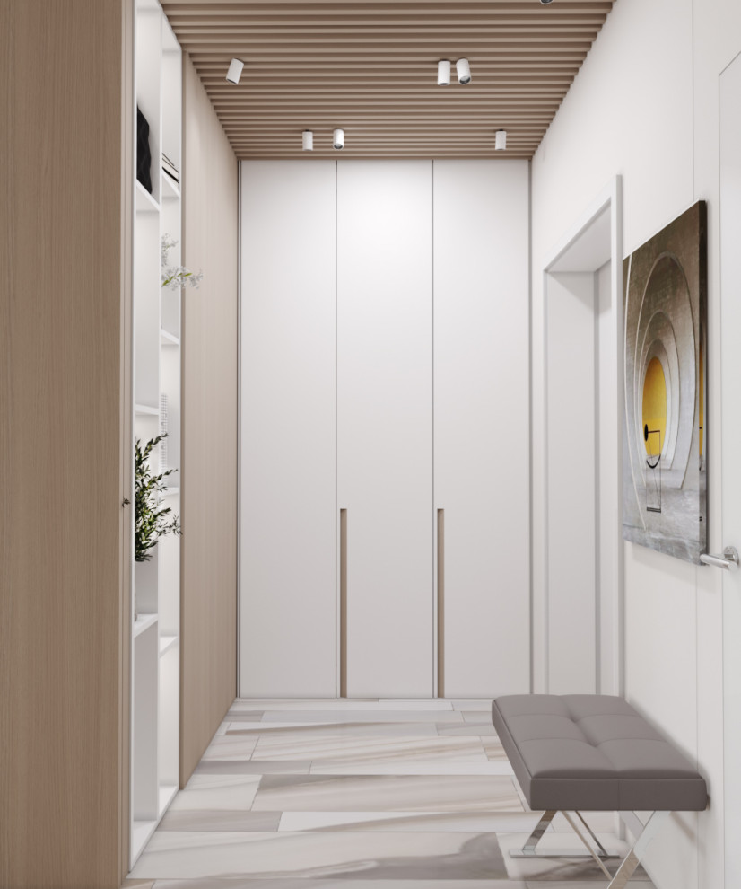 Проект квартиры в Москве