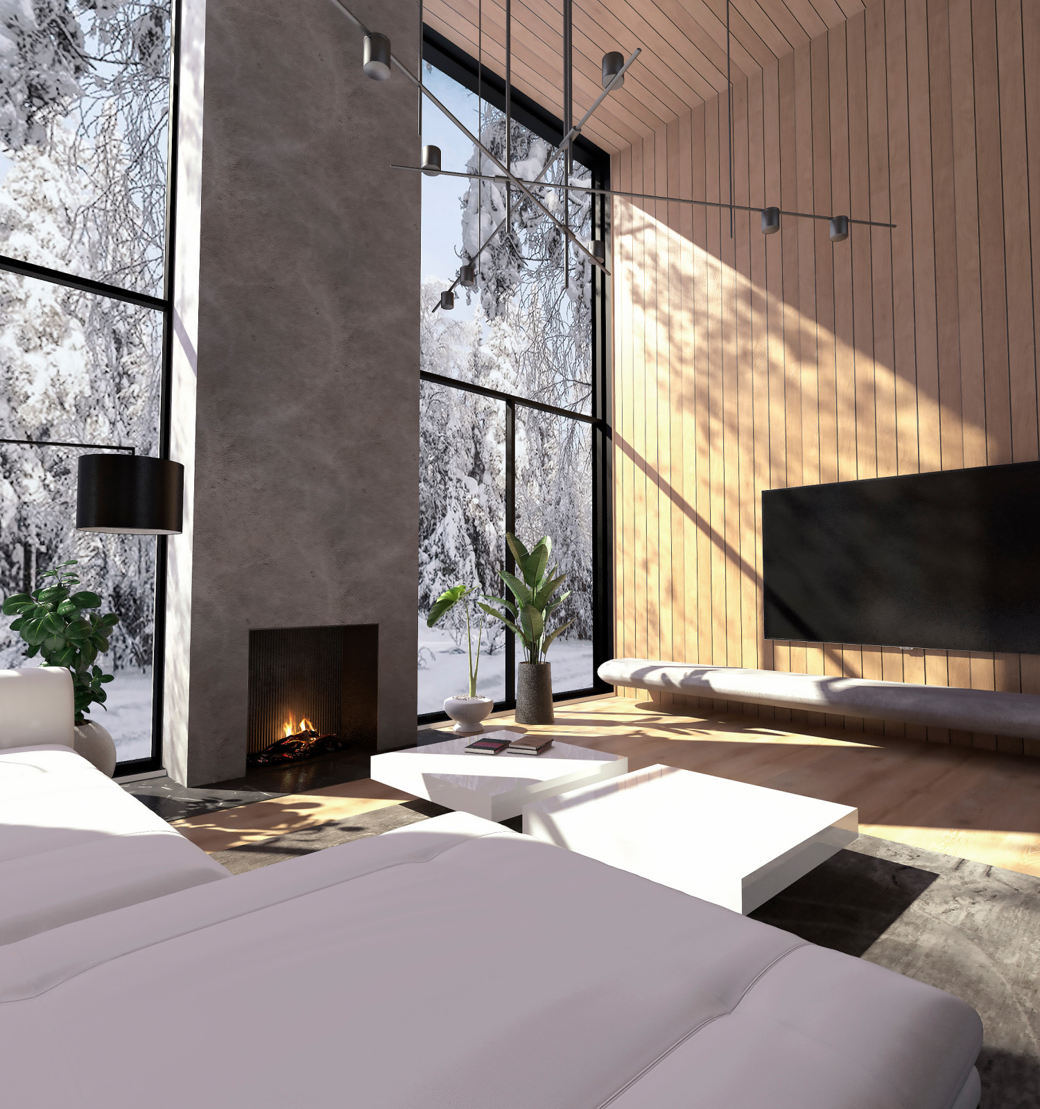 Частный дом в Заречье