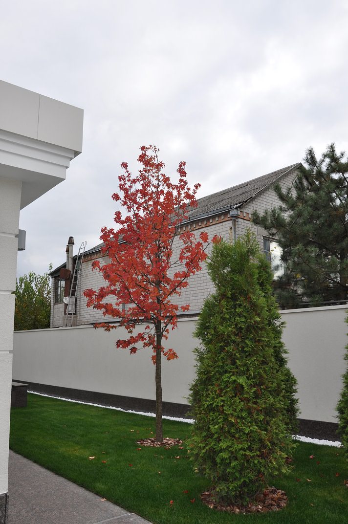 Обложка проекта: Private modern garden / Частный современный сад.