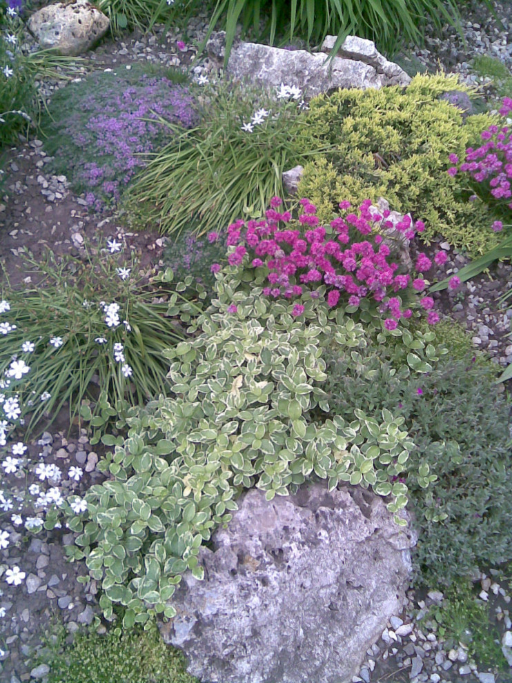 Альпийская горка