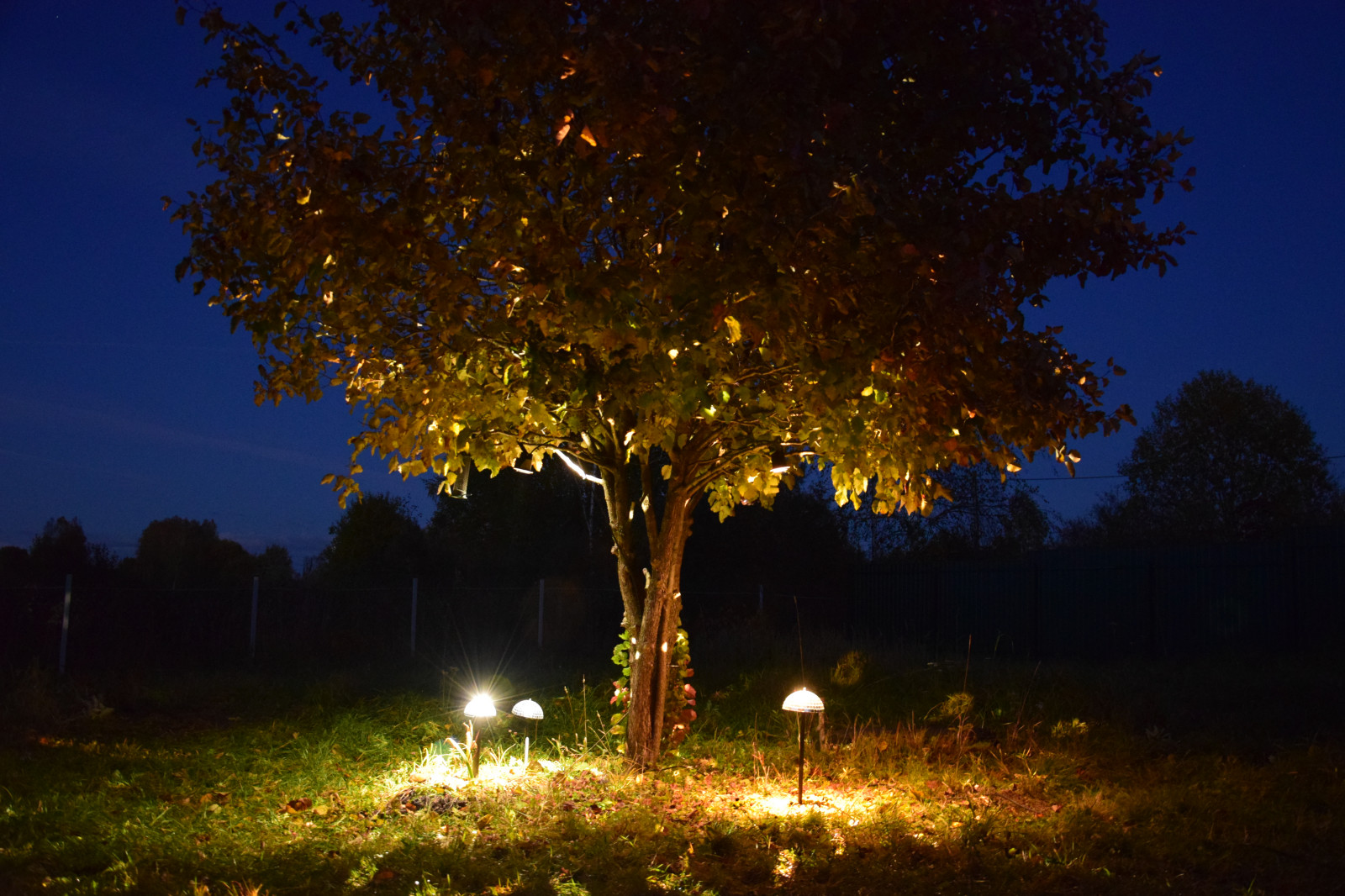 Обложка проекта: Круг Света 2019 Афтерпати фестиваля на даче под Калугой