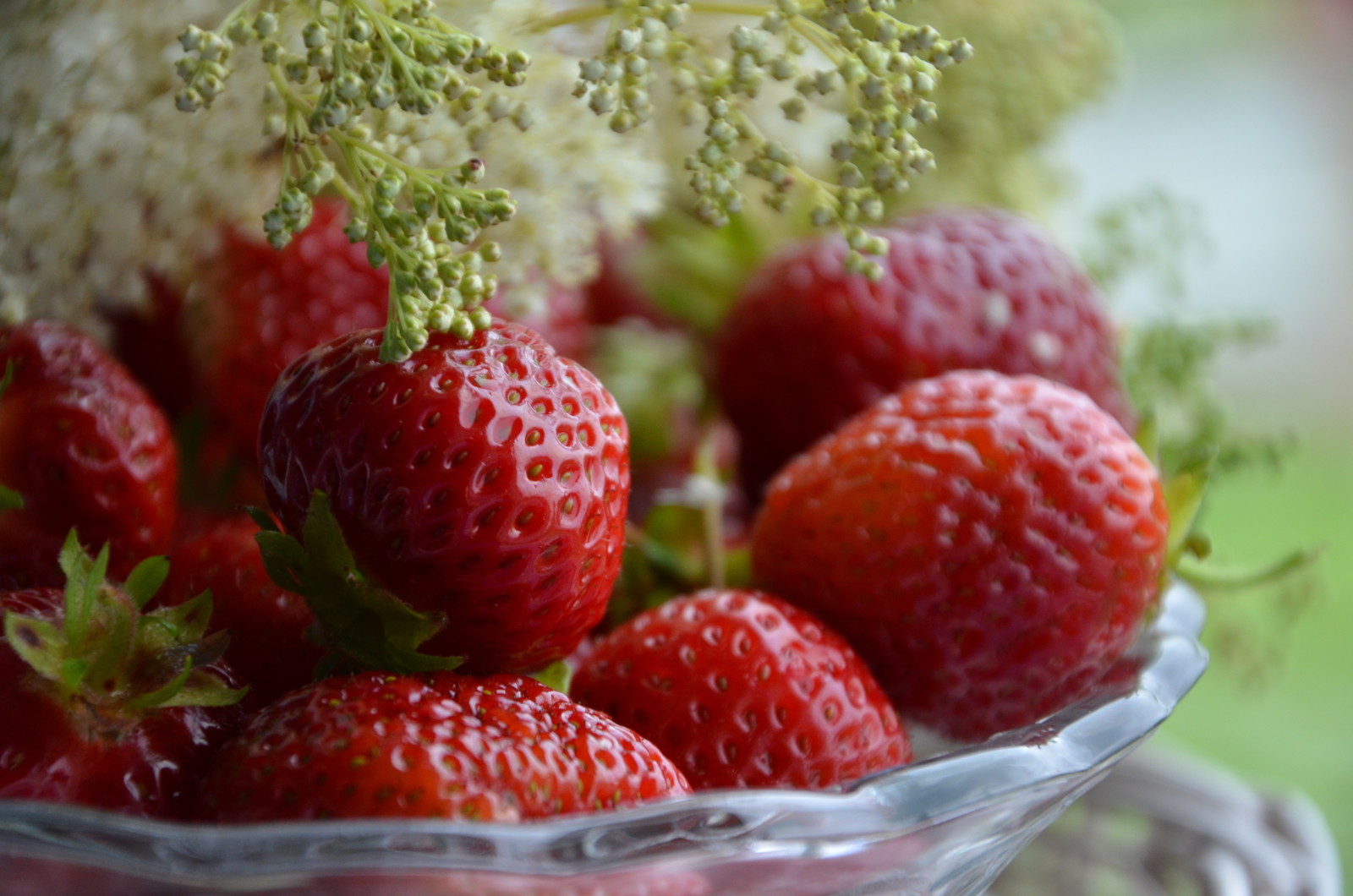 Садовый участок