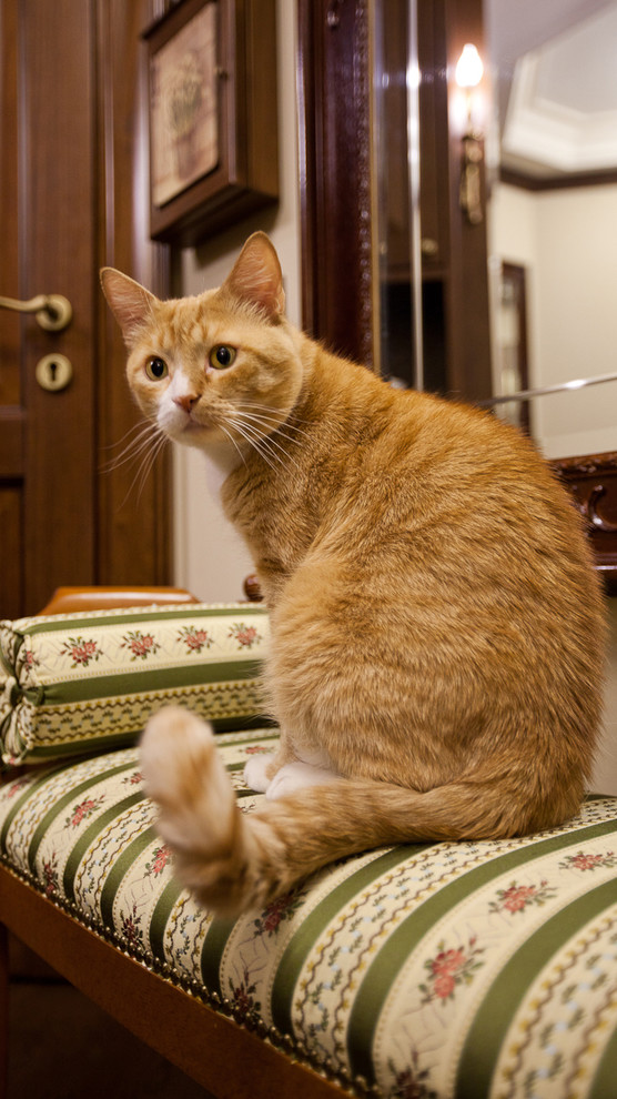 Apartment in St Petersburg