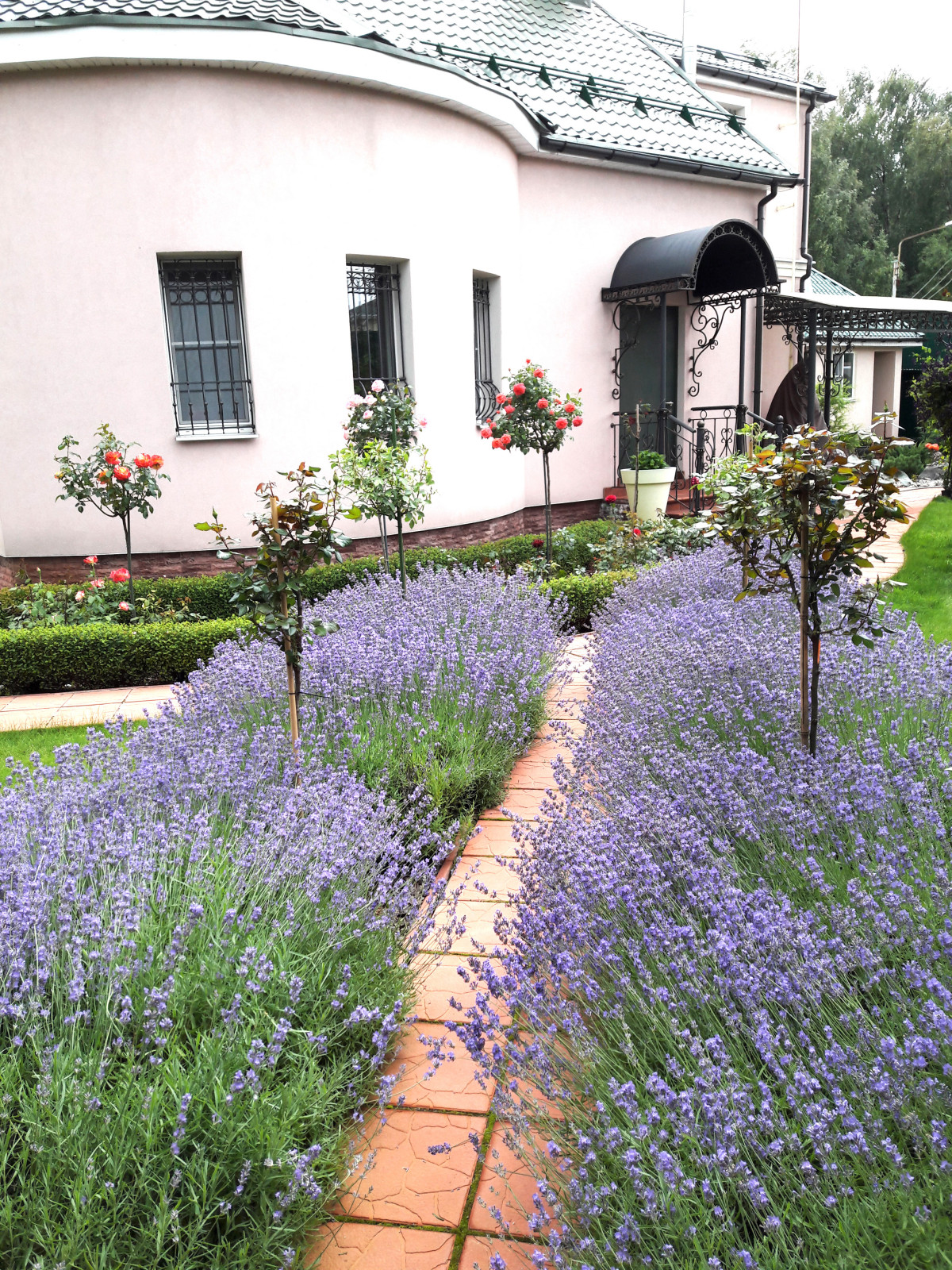 Обложка альбома: Сад