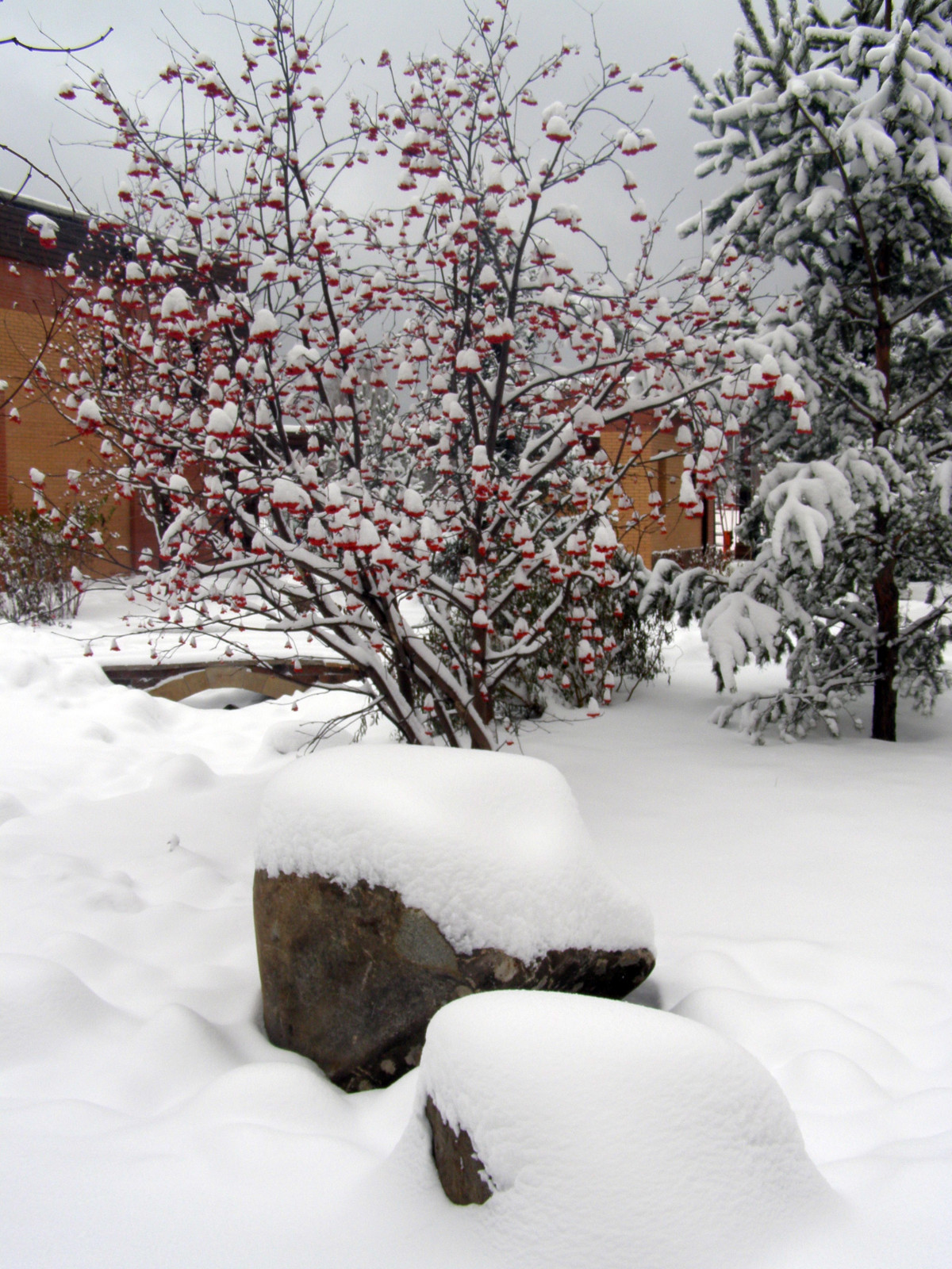 Ручей ЖК "Кедровый"