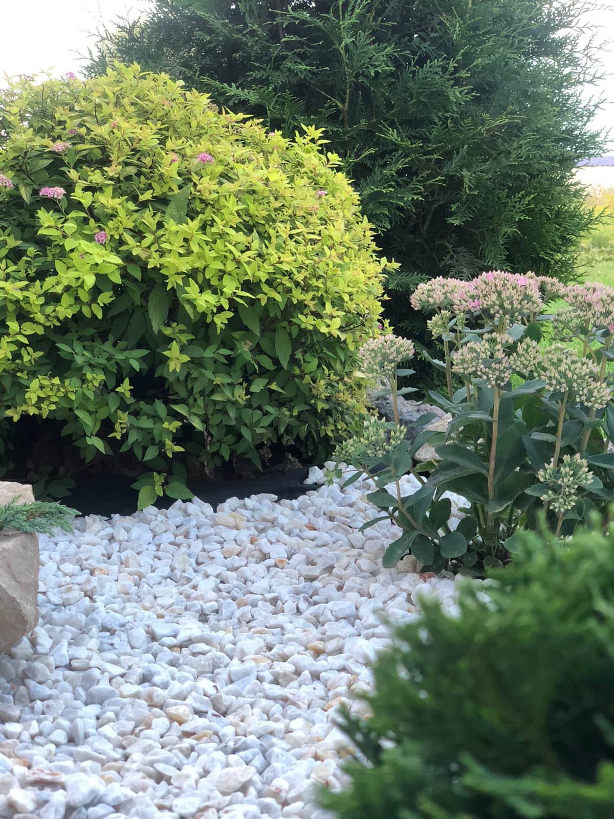 Проектирование цветников 2018-2020