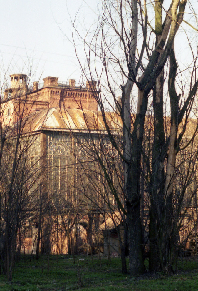 Жизнь в тепличных условиях: Современное применение оранжерей