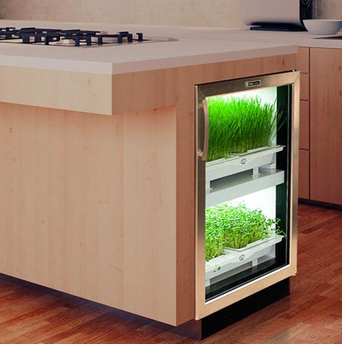 До чего дошел прогресс: Новые кухонные разработки