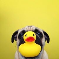 Юлия Летучая