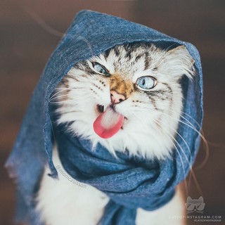 Катрин Пирожкова