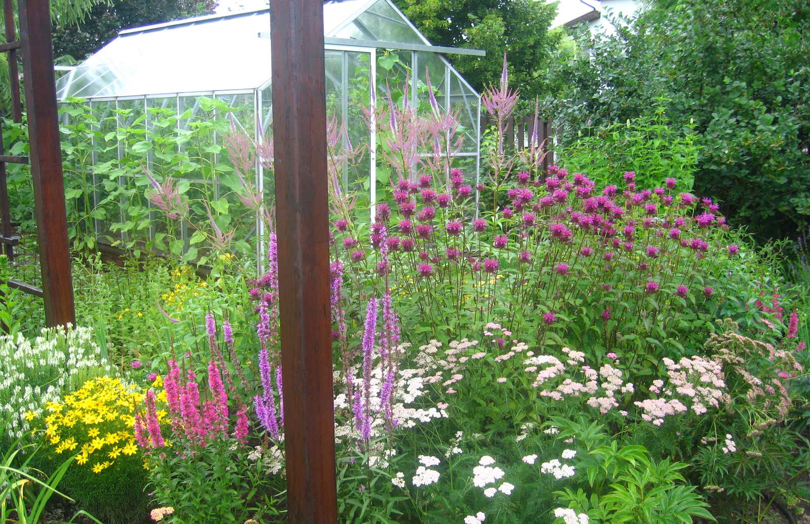 Kitchen garden