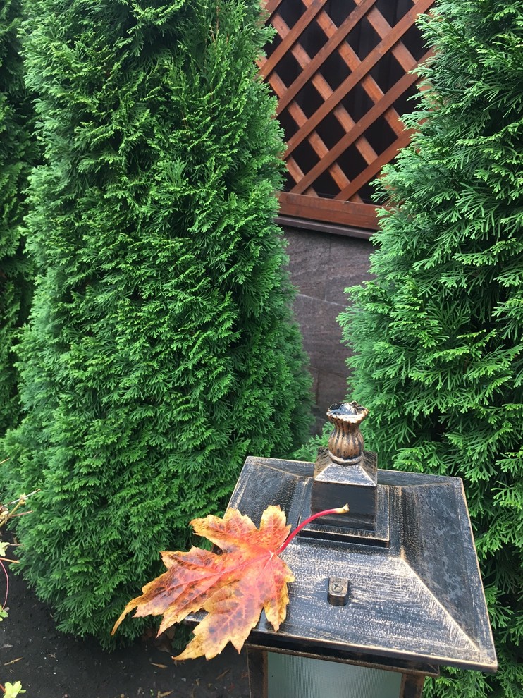 Сад в большом городе...