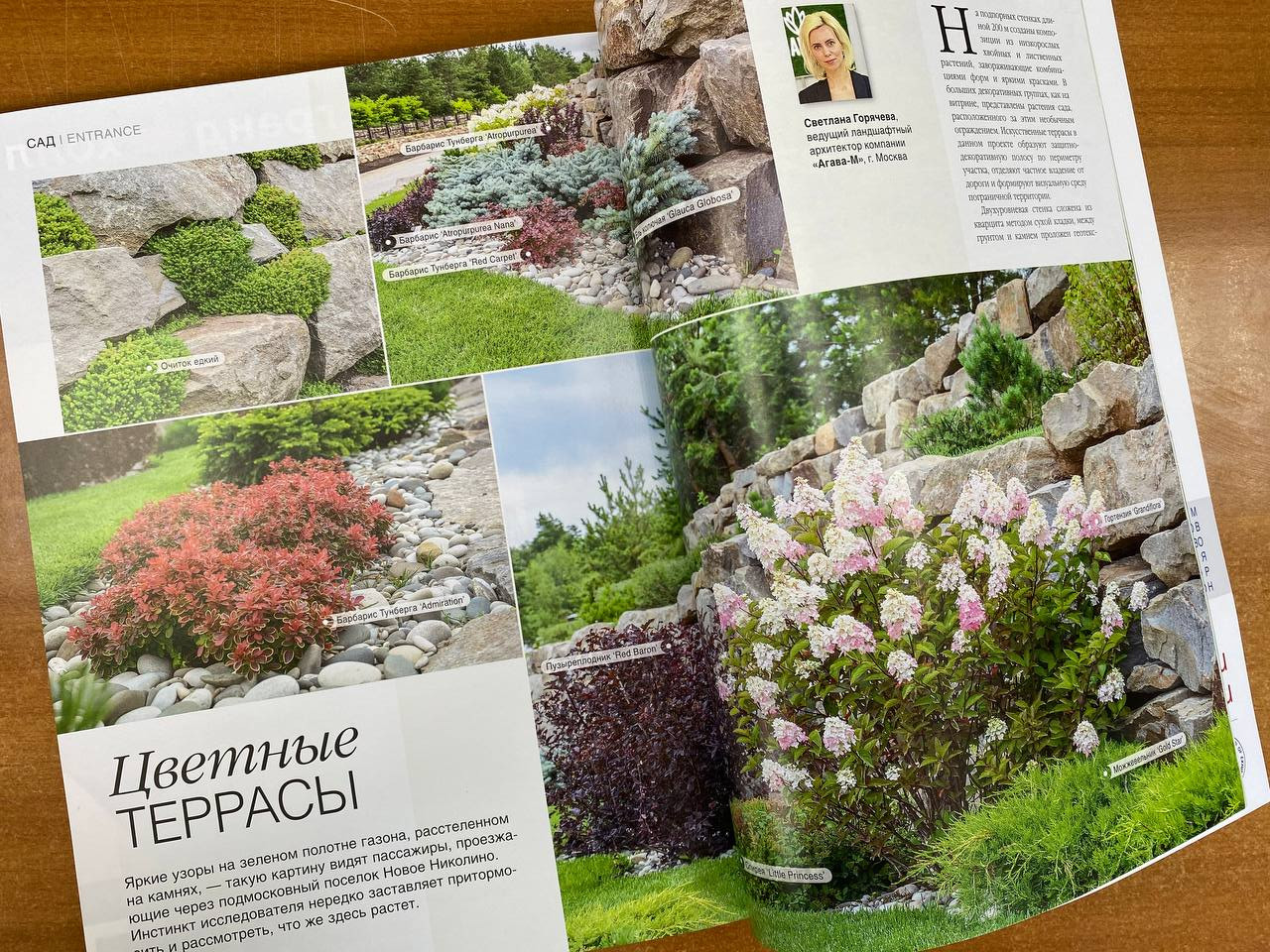 Публикации в прессе