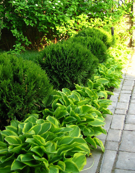 Озеленение небольшого участка