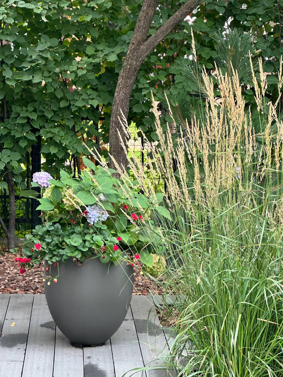 Обложка проекта: Чистые линии