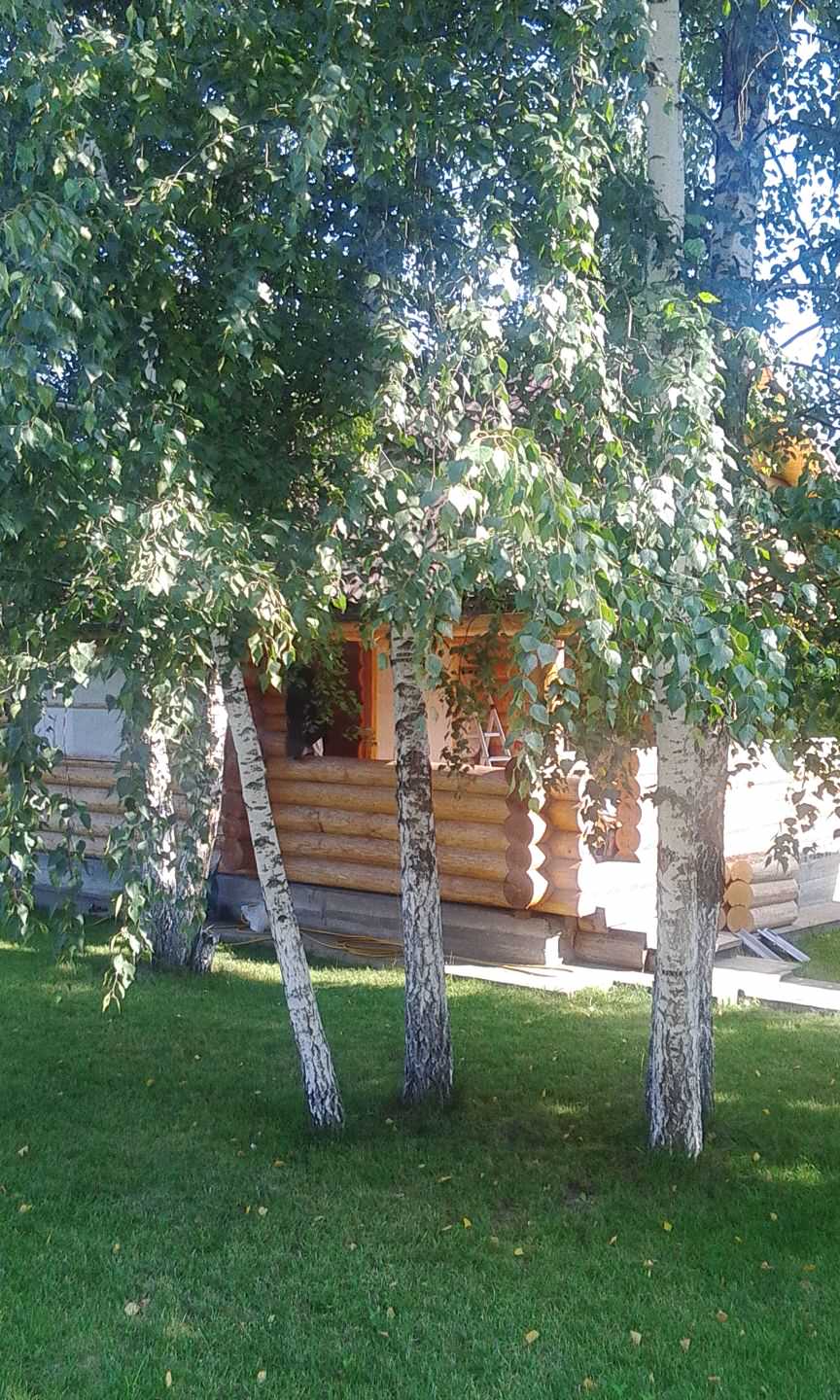 Прошлые работы