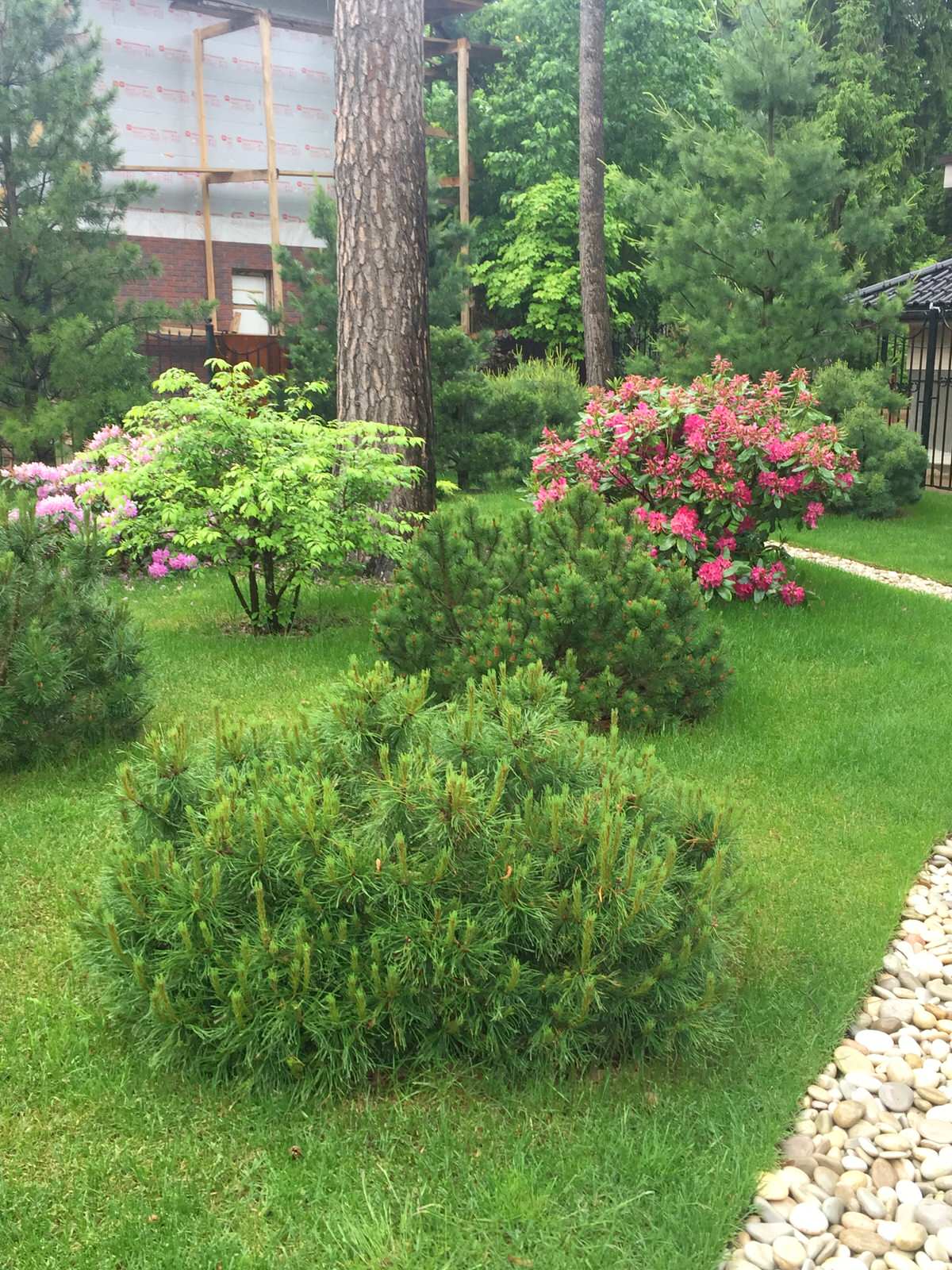 Сосновый Бор 2017.